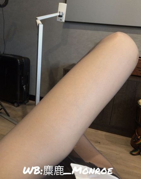 铁血战士6之终极铁血_DVD免费观看视频